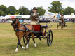 Malton Show 2024